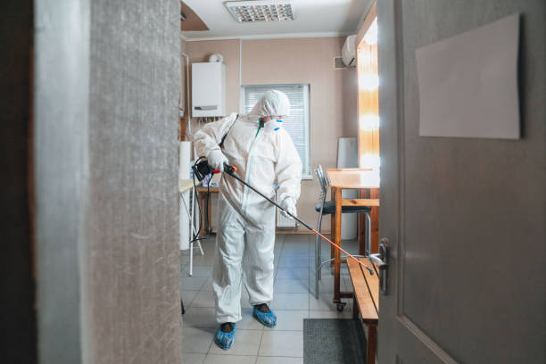 Best Dehumidification Services  in Anchorage, AK