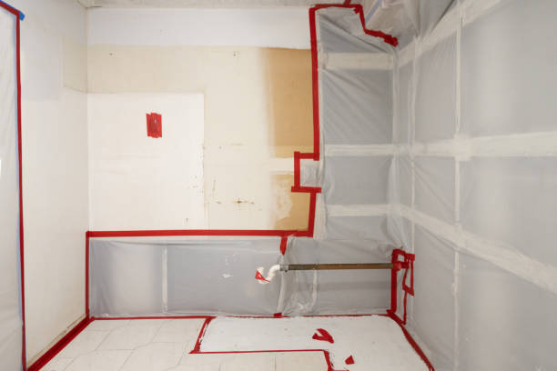 Best Comprehensive Air Testing for Mold Contaminants  in Anchorage, AK