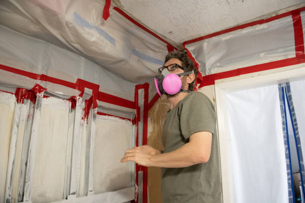Best Emergency Mold Remediation  in Anchorage, AK