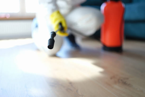 Best Indoor Air Quality Assessment  in Anchorage, AK