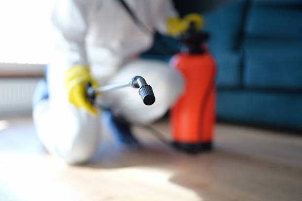 Mold Removal for HVAC Installations in Anchorage, AK