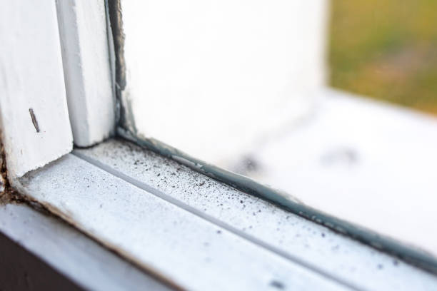 Best HVAC Mold Inspection and Cleaning  in Anchorage, AK