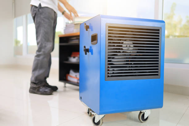 Best Mold Prevention Services  in Anchorage, AK