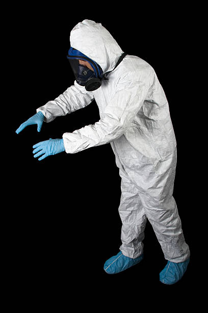 Best Basement Mold Removal  in Anchorage, AK
