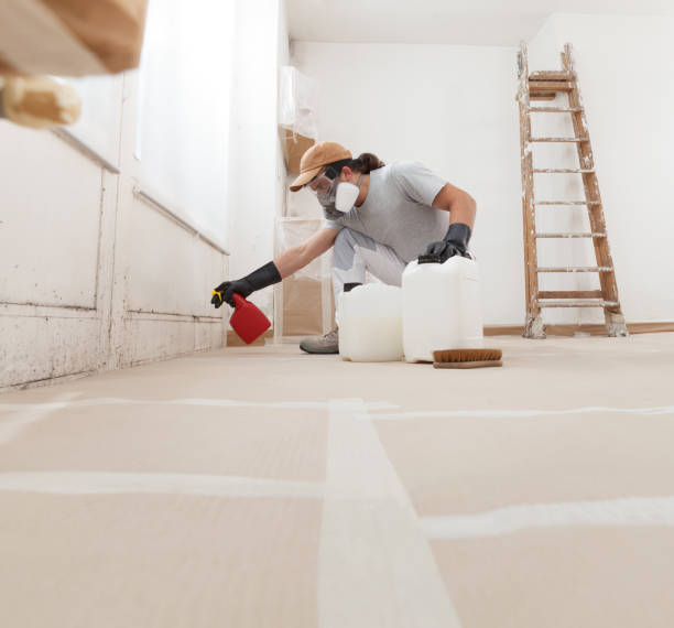 Best Asbestos and Lead Testing During Mold Inspection  in Anchorage, AK