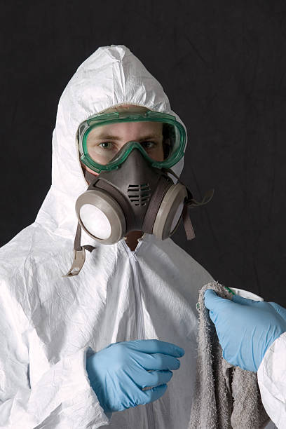 Best Black Mold Removal  in Anchorage, AK